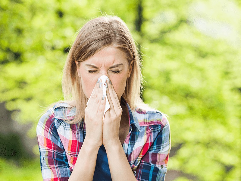 Allergy Sufferer? Produce a sensitive reaction-Free Sanctuary